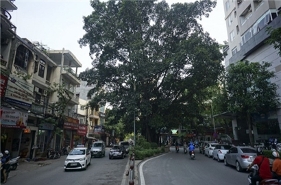 Hà Nội duyệt kế hoạch mở rộng đường Vũ Trọng Phụng, quận Thanh Xuân