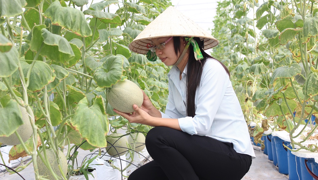 Trí thức Việt kiều hiến kế làm nông nghiệp công nghệ cao