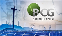 Bamboo Capital lãi gần 100 tỷ đồng trong quý I