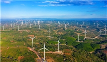 Công ty điện gió của Trung Nam tiếp tục lỗ lớn