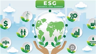 Vinamilk tiết kiệm được hàng trăm tỷ đồng sau 10 năm theo đuổi ESG