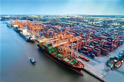 VASEP kiến nghị TP.HCM hoãn thu phí hạ tầng cảng biển tránh “phí chồng phí”