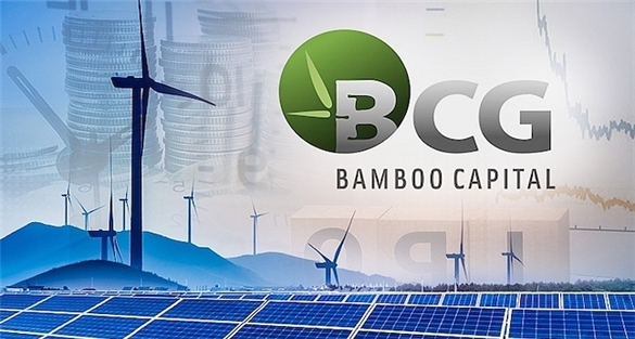 Bamboo Capital lãi gần 100 tỷ đồng trong quý I