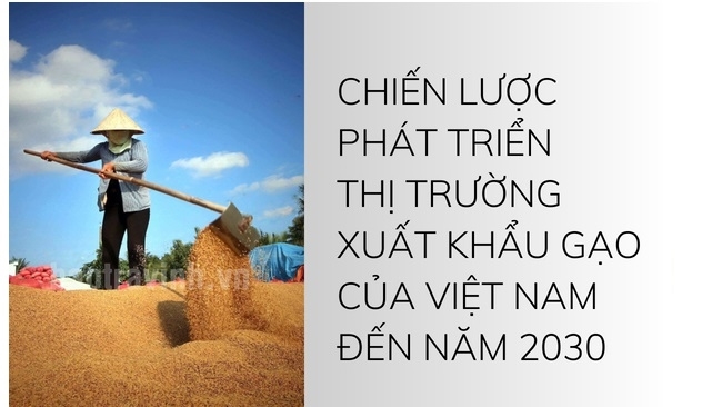 Việt Nam đặt mục tiêu cắt giảm xuất khẩu gạo 44% vào năm 2030