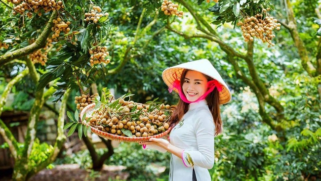 Nhãn Việt Nam có thể được xuất khẩu sang Úc từ năm 2019