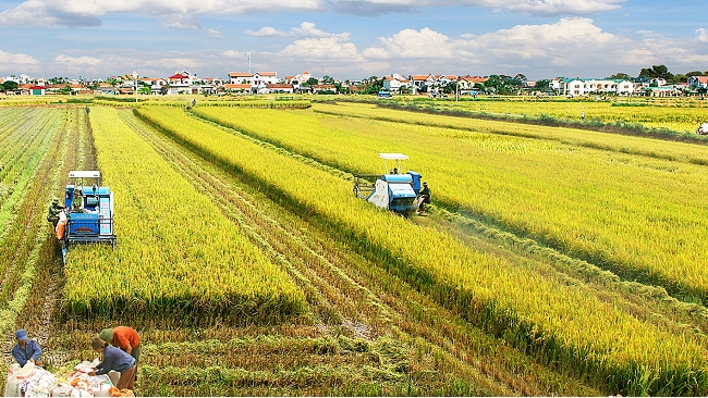 Gỡ nút thắt cho nông nghiệp Việt