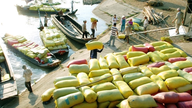 Cảnh báo các doanh nghiệp Việt khi xuất khẩu nông sản sang Tây Ban Nha