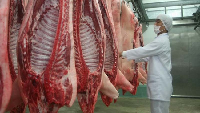 Giải pháp căn cơ để giảm giá thịt lợn