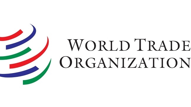 Các hiệp định của WTO quy định những gì về sở hữu trí tuệ