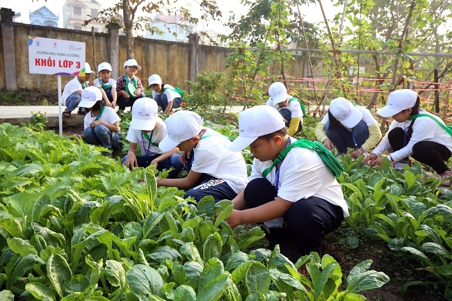 Nestlé hỗ trợ học sinh tiểu học ở Hưng Yên về dinh dưỡng học đường