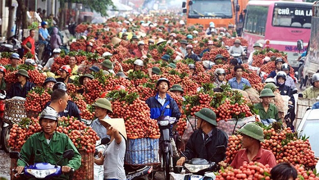 Nông sản Việt cần một cái nắm tay