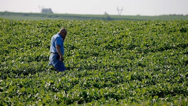 Mỹ tung gói hỗ trợ nông dân giữa chiến tranh thương mại