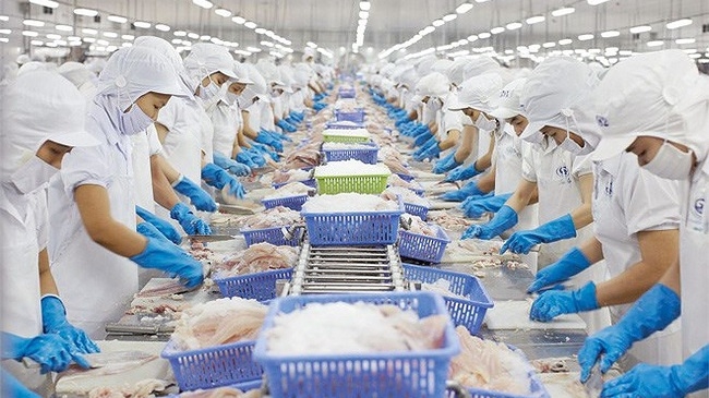 Tận dụng FTA giúp cá tra Việt xuất khẩu thuận lợi vào ASEAN