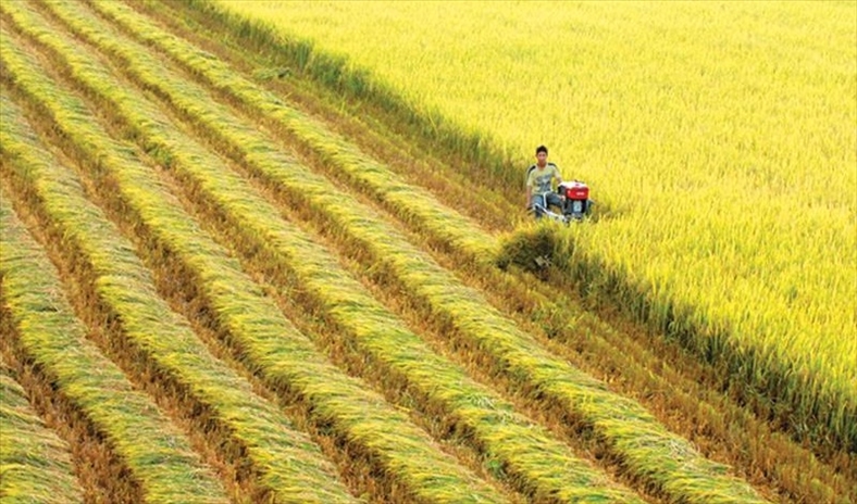 Thụy Sỹ tài trợ 1,45 tỷ đồng giúp Việt Nam quản trị các vựa lúa bằng công nghệ viễn thám
