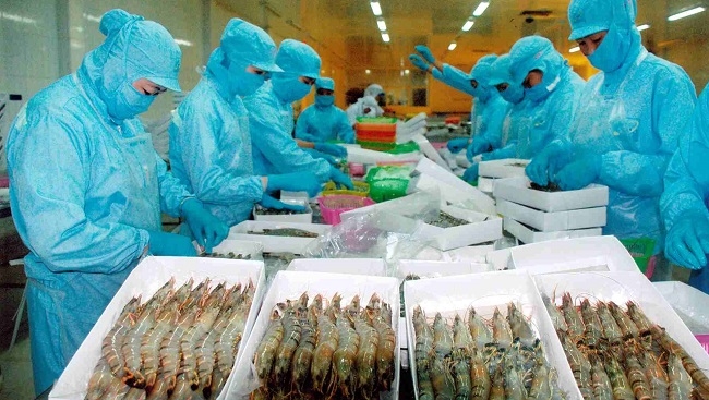 'Được và mất' của xuất khẩu tôm Việt trong đợt dịch Corona
