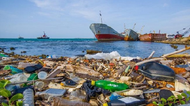 Đánh bắt thủy hải sản thải ra hàng chục nghìn tấn rác nhựa mỗi năm