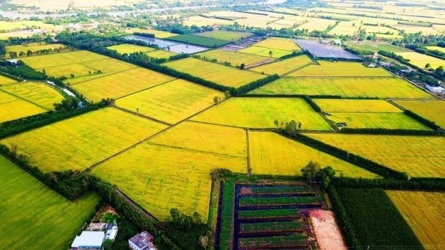 Đến năm 2030, miền Tây trở thành trung tâm kinh tế nông nghiệp bền vững
