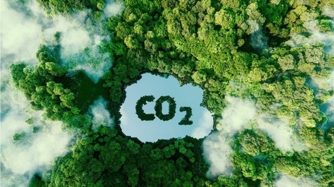Tiềm năng của Việt Nam khi tham gia thị trường carbon giá trị cao
