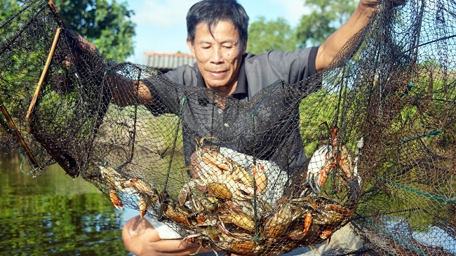 Chìa khóa đưa thủy sản Việt lên bàn ăn thế giới