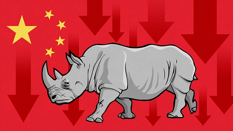 “Tê giác xám” và sự lao dốc của thị trường chứng khoán Trung Quốc