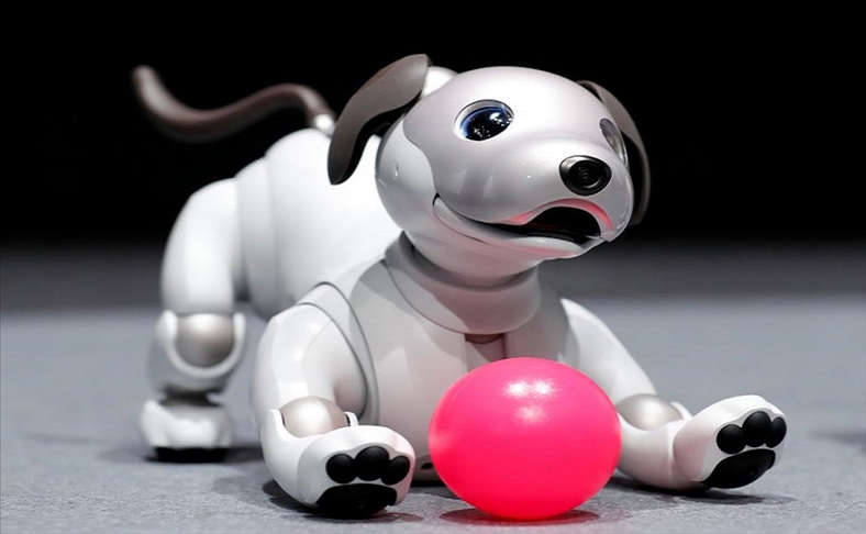 Sony hồi sinh dự án sản xuất chó robot