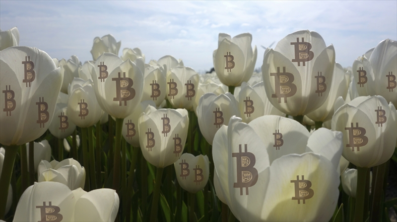 Liệu cơn sốt Bitcoin có biến thành khủng hoảng bong bóng hoa tulip thứ hai?