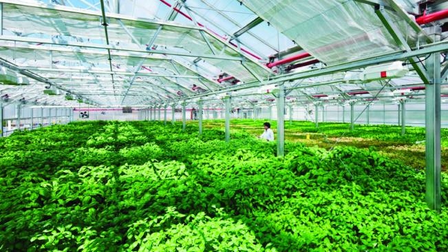 Thái Nguyên gọi vốn cho 19 dự án nông nghiệp công nghệ cao