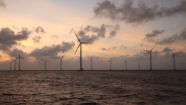 Bình Định dồn lực cho các dự án điện gió ngoài khơi