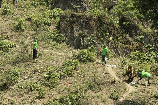 TH true MILK chung tay “vá rừng trên núi đá”, bảo tồn đa dạng sinh học 4