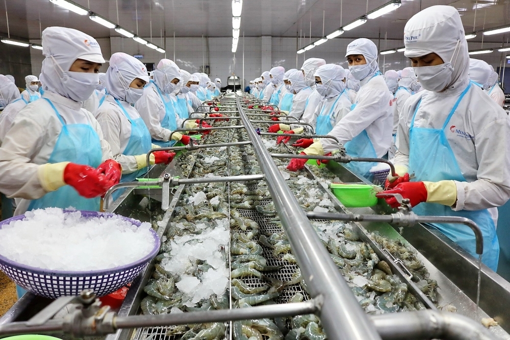 Bức tranh u ám của xuất khẩu thủy sản Việt Nam đầu năm 2023 2