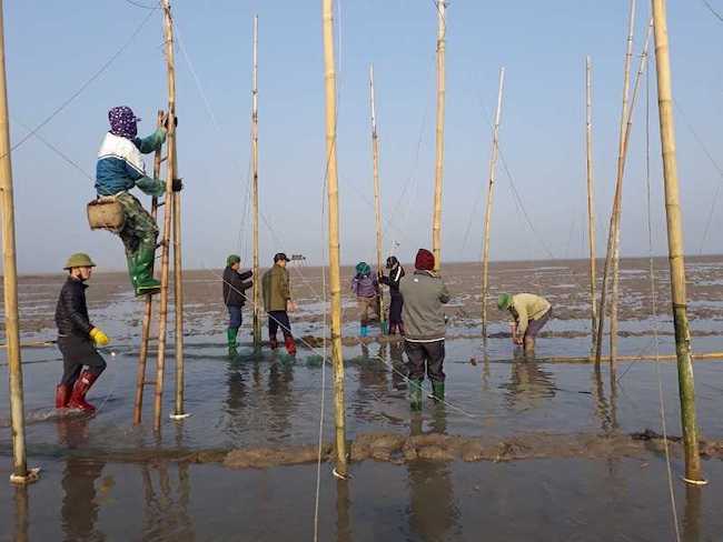 Quảng Ninh tăng cường giải pháp bảo vệ nguồn lợi thủy sản