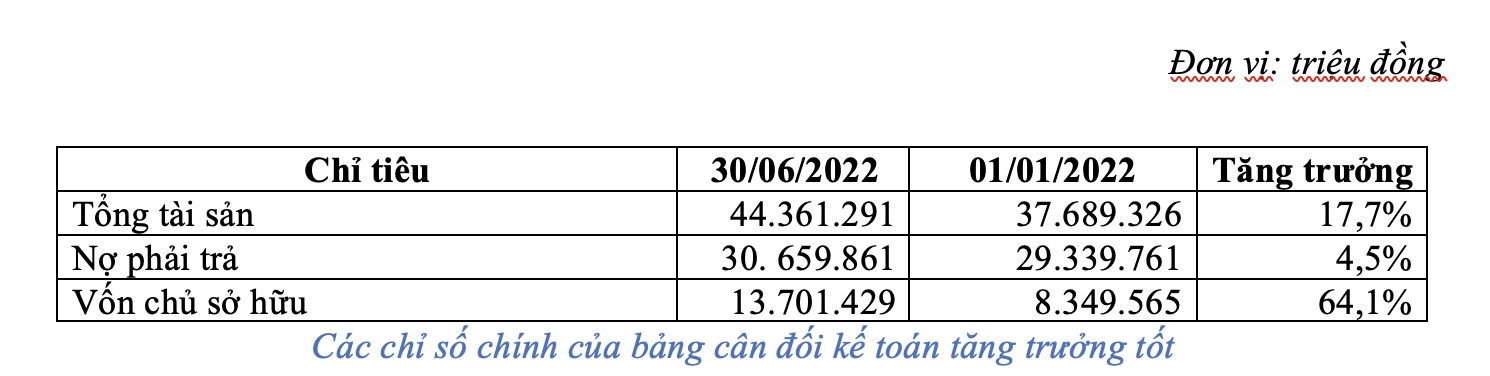 Bamboo Capital lãi sau thuế 354 tỷ đồng trong quý II 1