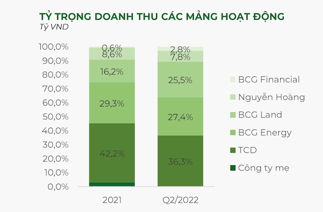 Bamboo Capital sẽ IPO BCG Land trong quý 3 1