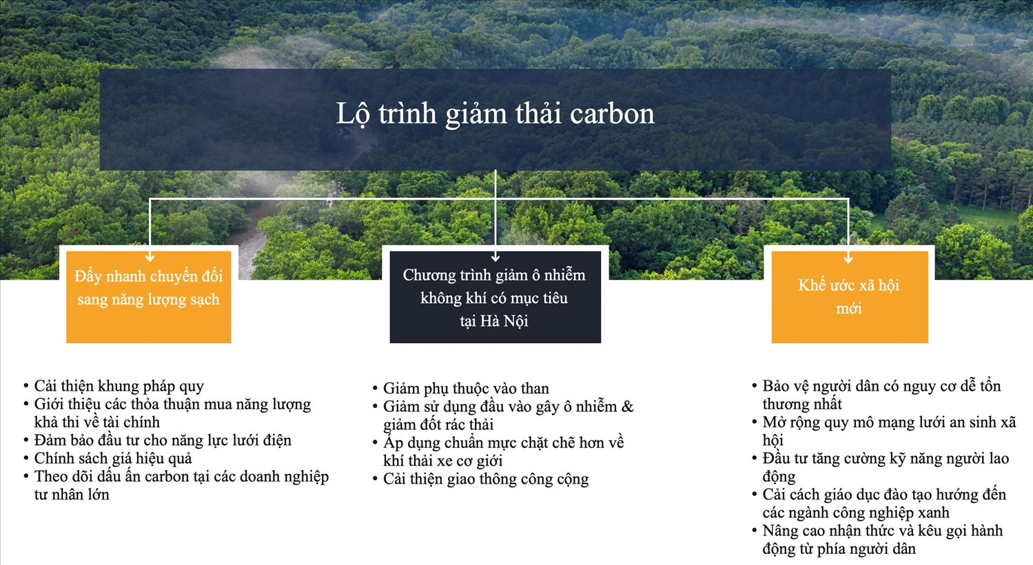 Chuyên gia World Bank chỉ ra động lực tăng trưởng bền vững cho Việt Nam 2