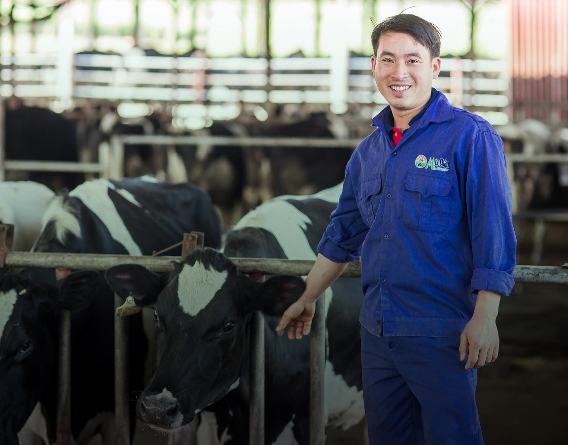 6 thập kỷ trở thành “chuyên gia bò sữa” ấn tượng của Mộc Châu Milk