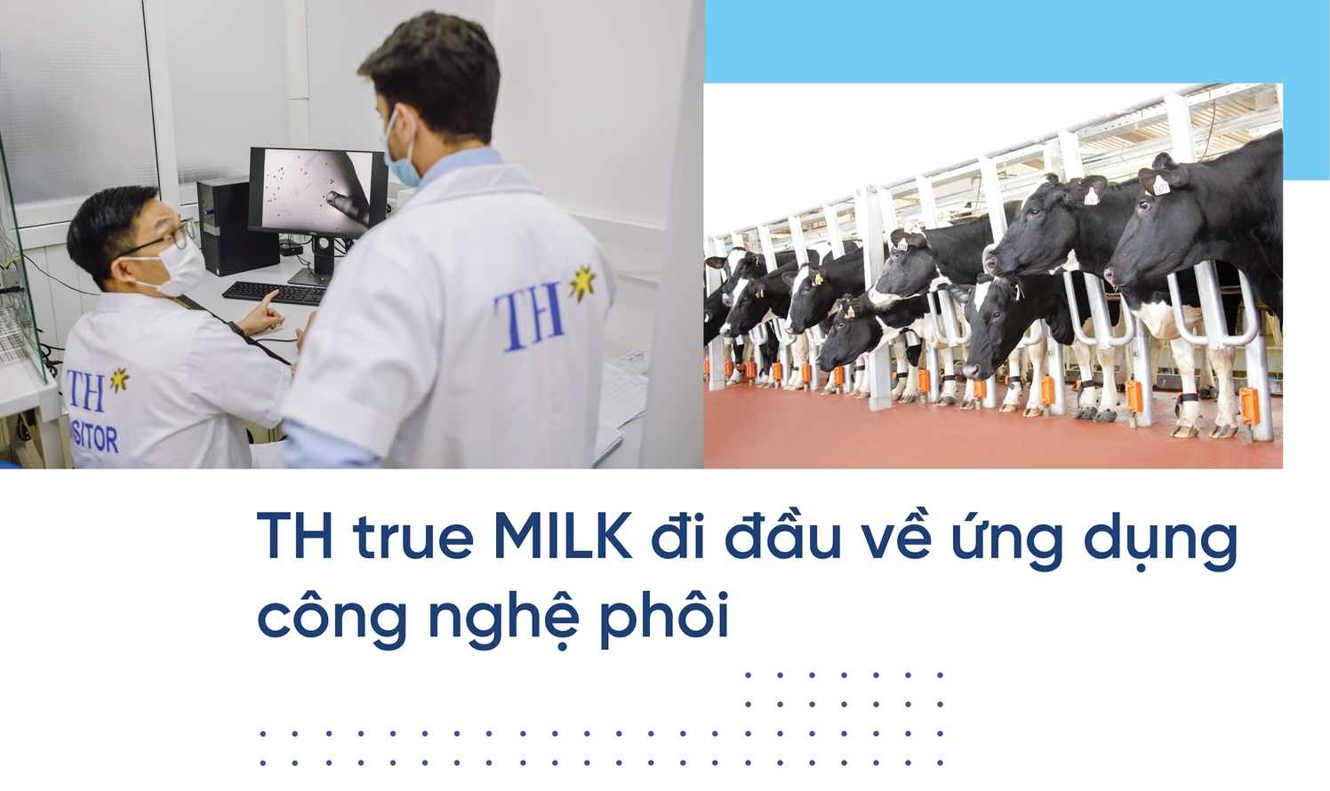 Trang trại đầu tiên tại Việt Nam thụ tinh ống nghiệm cho… bò sữa