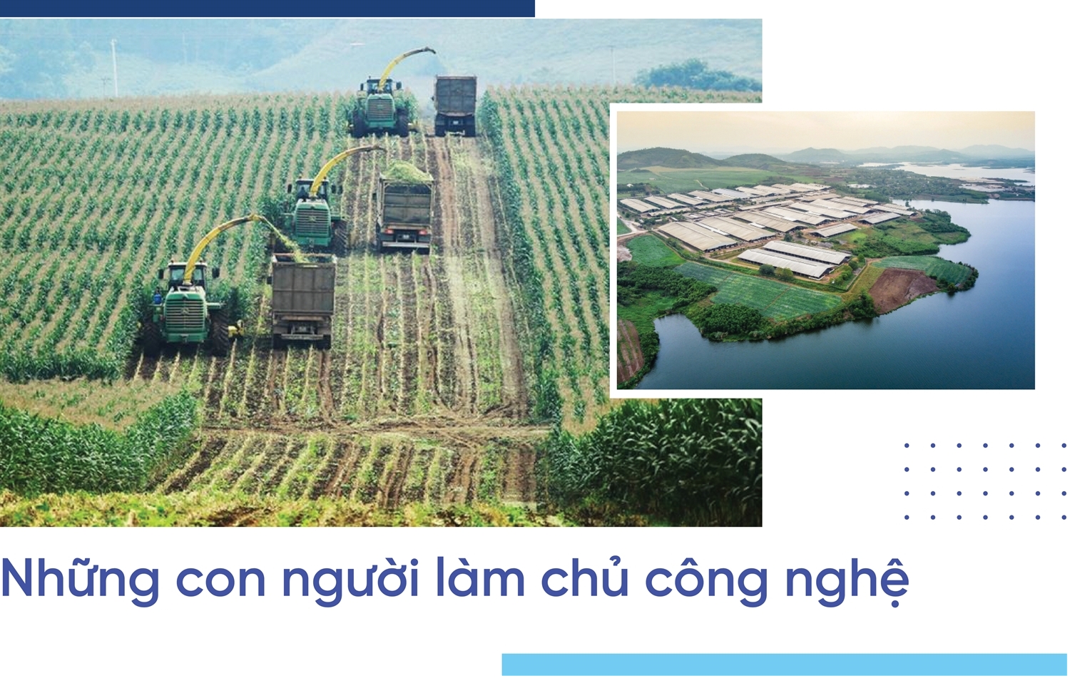 Trang trại đầu tiên tại Việt Nam thụ tinh ống nghiệm cho… bò sữa 6