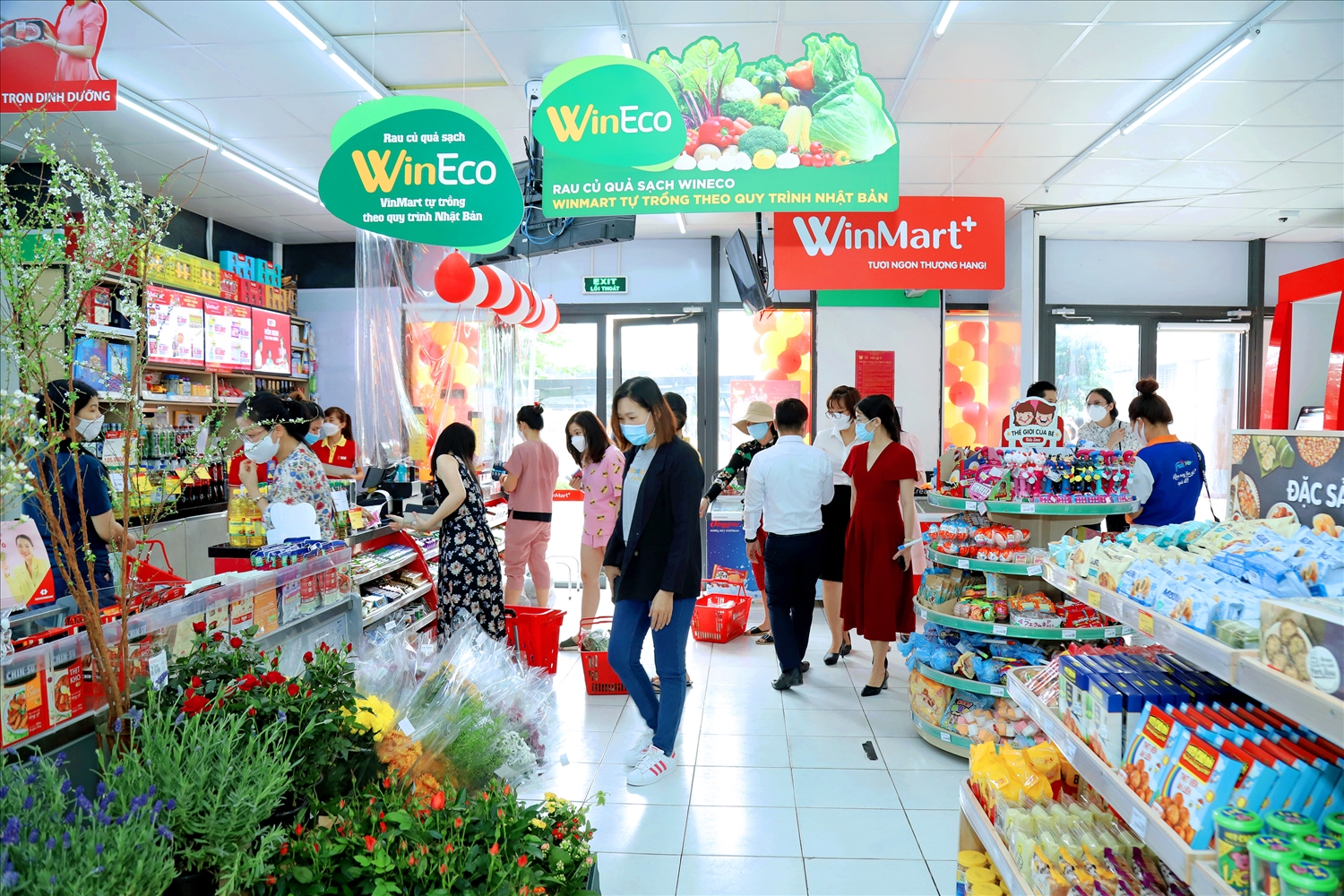 Masan mở thêm hơn 300 Winmart+ và 5 siêu thị Winmart