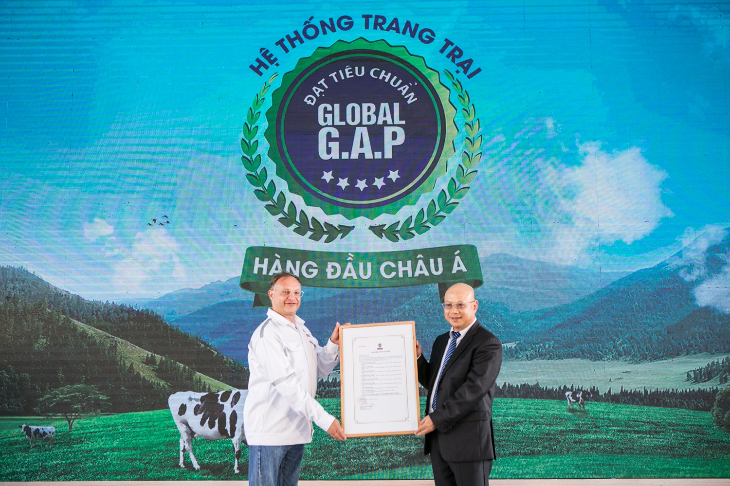 'Resort' bò sữa Vinamilk Tây Ninh 5