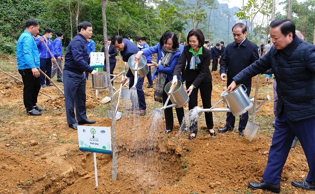 Vinamilk hoàn thành mục tiêu trồng hơn 1,1 triệu cây xanh cho Việt Nam