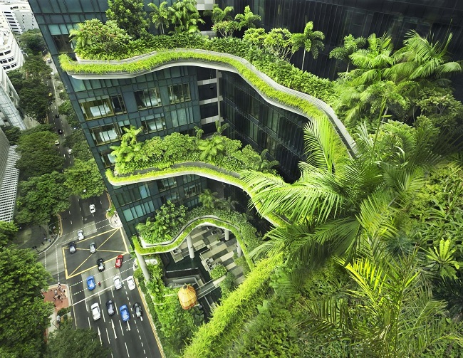 Vườn thẳng đứng "phủ mát" Singapore, Việt Nam thì sao?