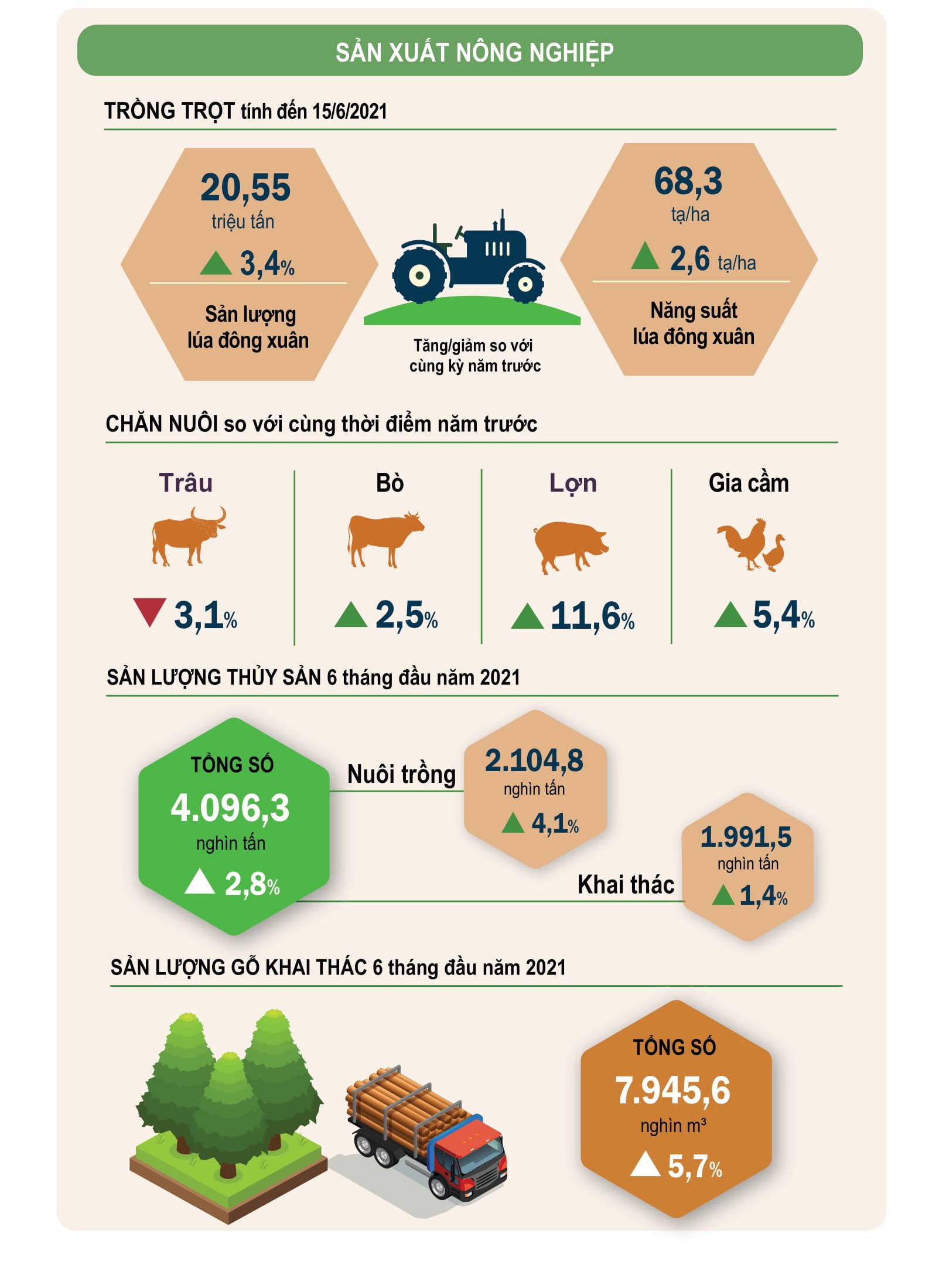 [Infographics] Bức tranh kinh tế Việt Nam nửa đầu năm 2021 1