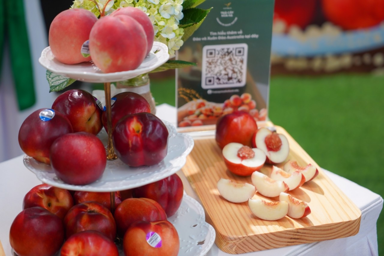 WinMart thúc đẩy tiêu thụ trái cây Australia 3