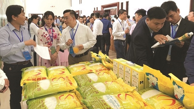 Doanh nghiệp xuất khẩu gạo đề nghị có chính sách ưu đãi để vay vốn dài hạn