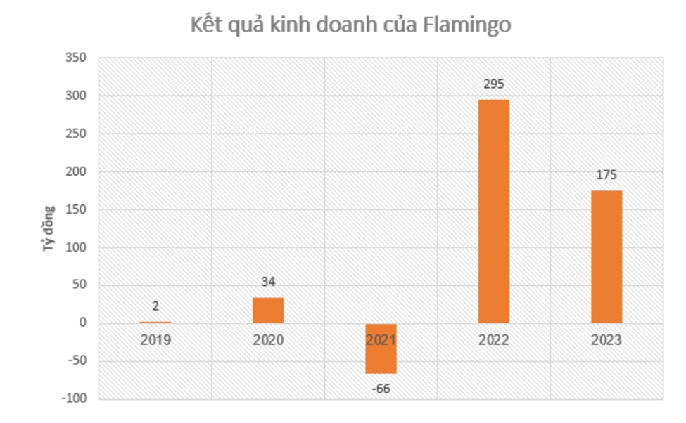Flamingo báo lãi 175 tỷ đồng trong năm 2023 1