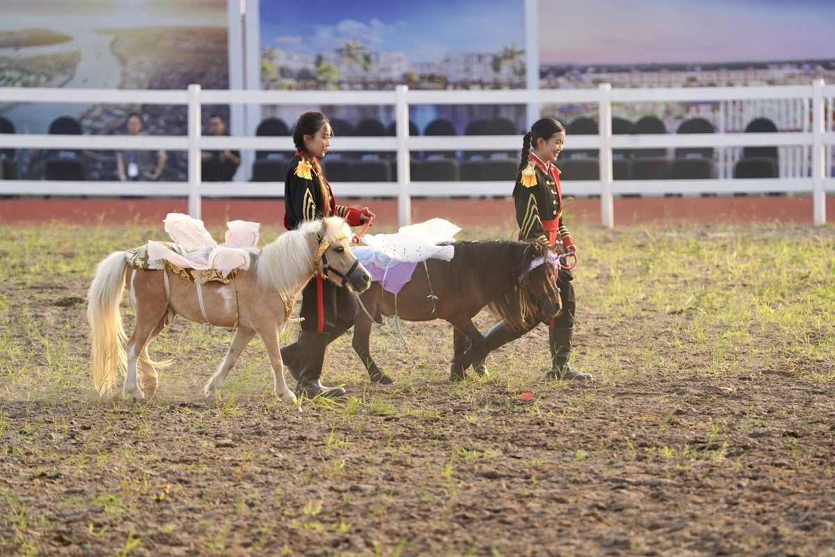 Ra mắt Học viện cưỡi ngựa đầu tiên tại Việt Nam trên đảo Vũ Yên 3