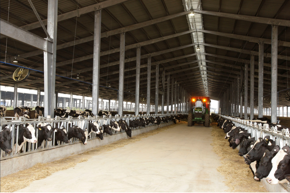 Công nghệ 4.0 biến vùng đất nghèo thành “thủ phủ bò sữa” 4