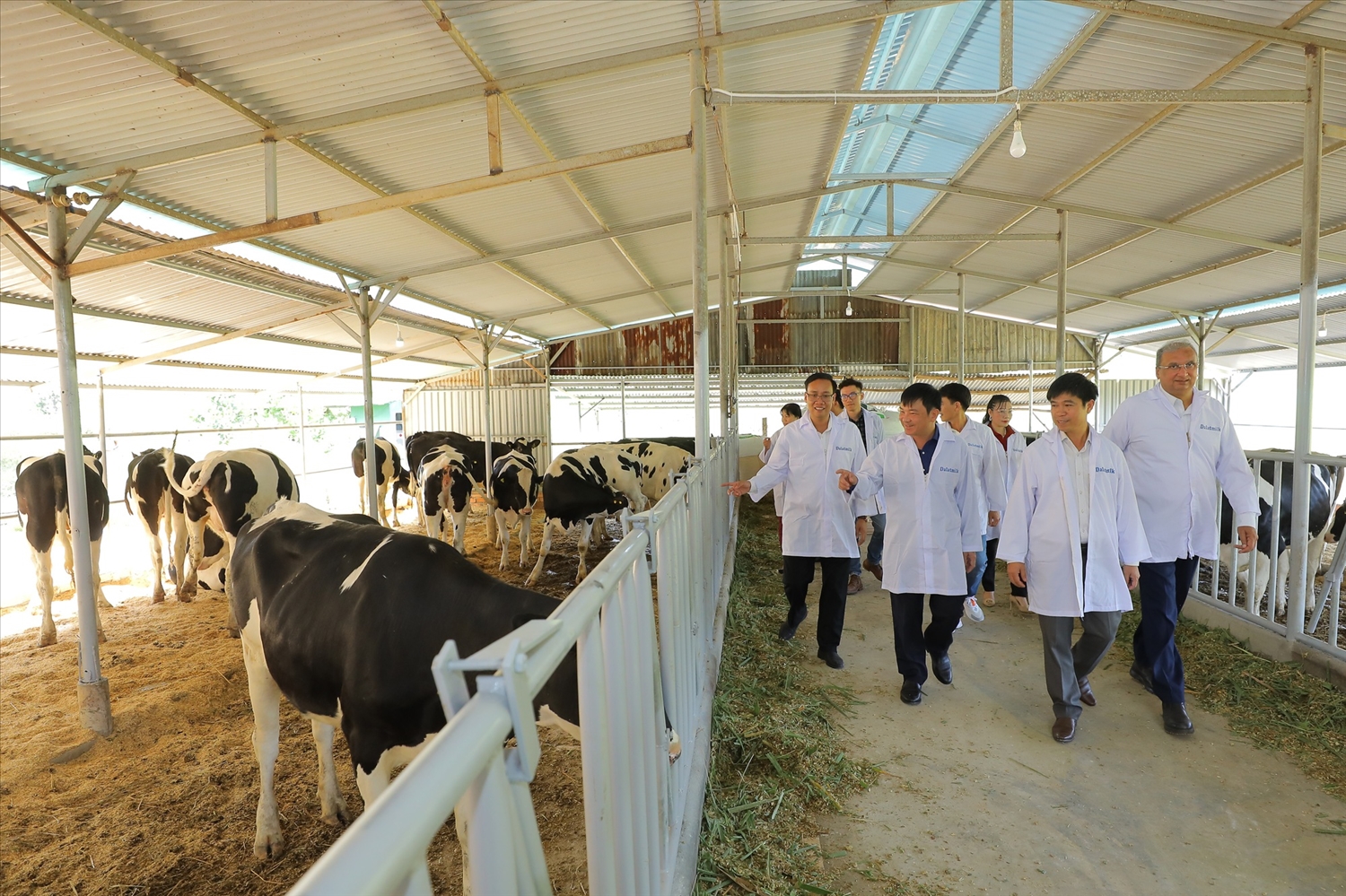 Bò sữa TH giúp phát triển sinh kế người dân huyện nghèo của tỉnh Lâm Đồng 1