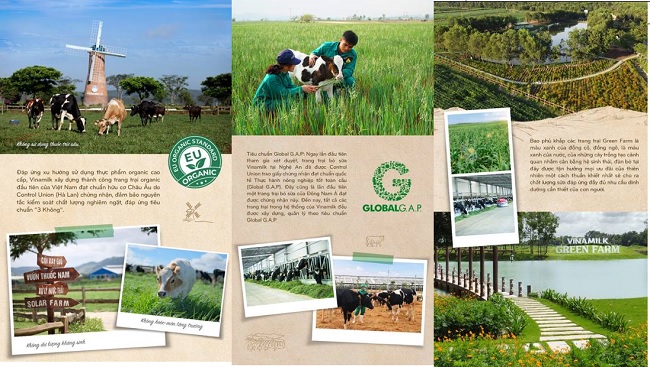 Hành trình Vinamilk xây dựng hệ thống 13 trang trại chuẩn quốc tế khắp Việt Nam 8