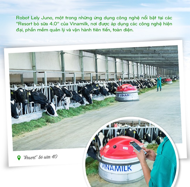 Hành trình Vinamilk xây dựng hệ thống 13 trang trại chuẩn quốc tế khắp Việt Nam 6